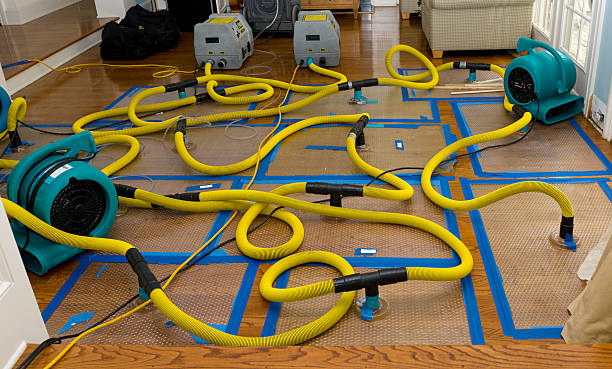 Professional Crawl Space Water Removal technician working in Baker, LA